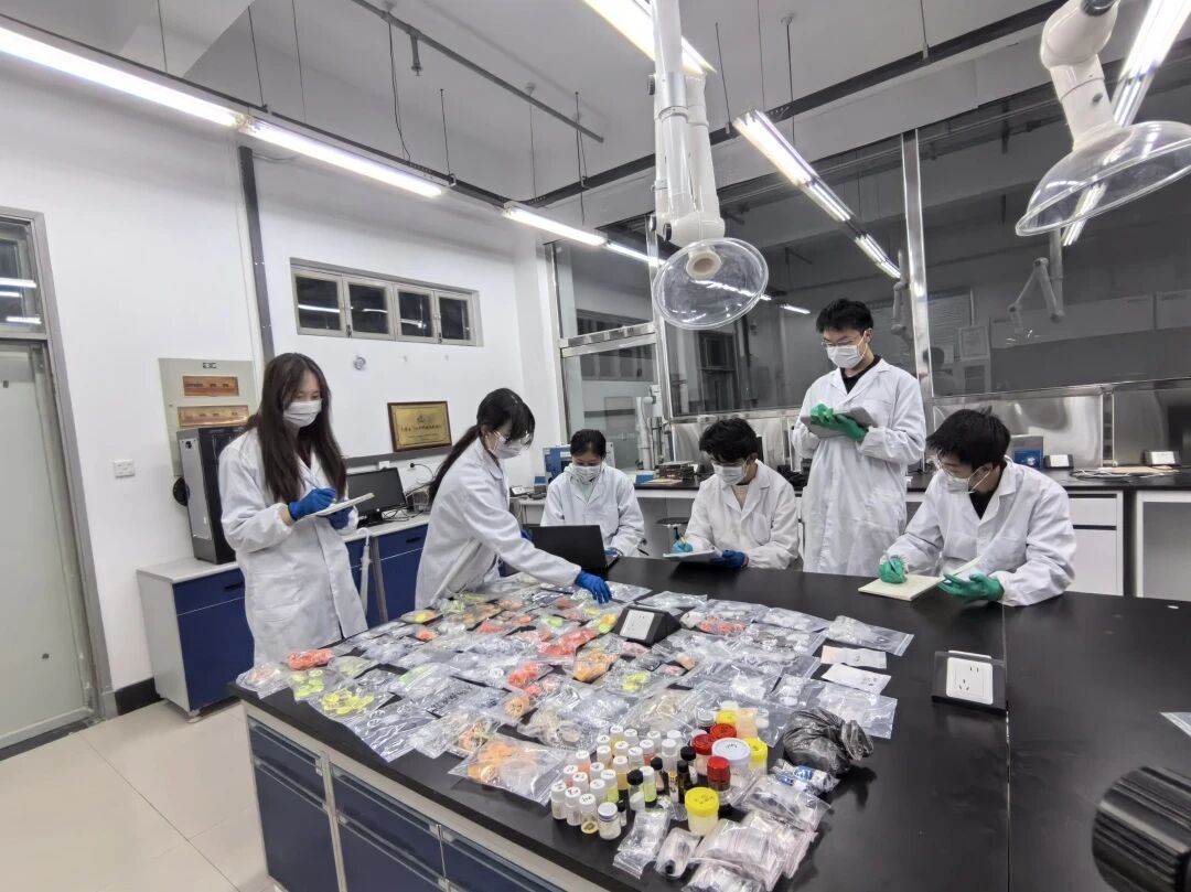 1764648516645186.jpg 9c510ce8710204c7548650c4238ed9fe.jpg